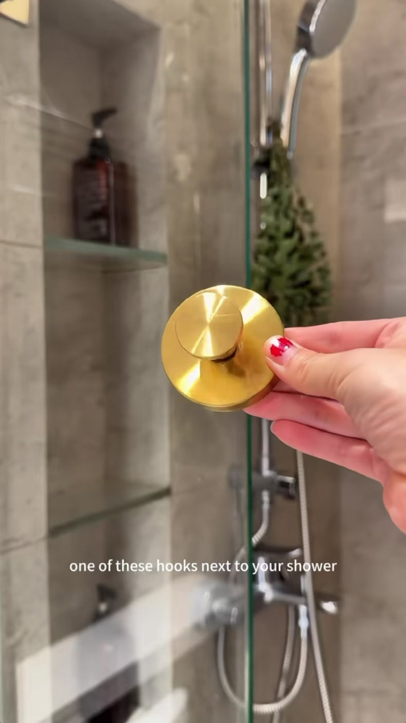 Stainless Steel Secure Hooks