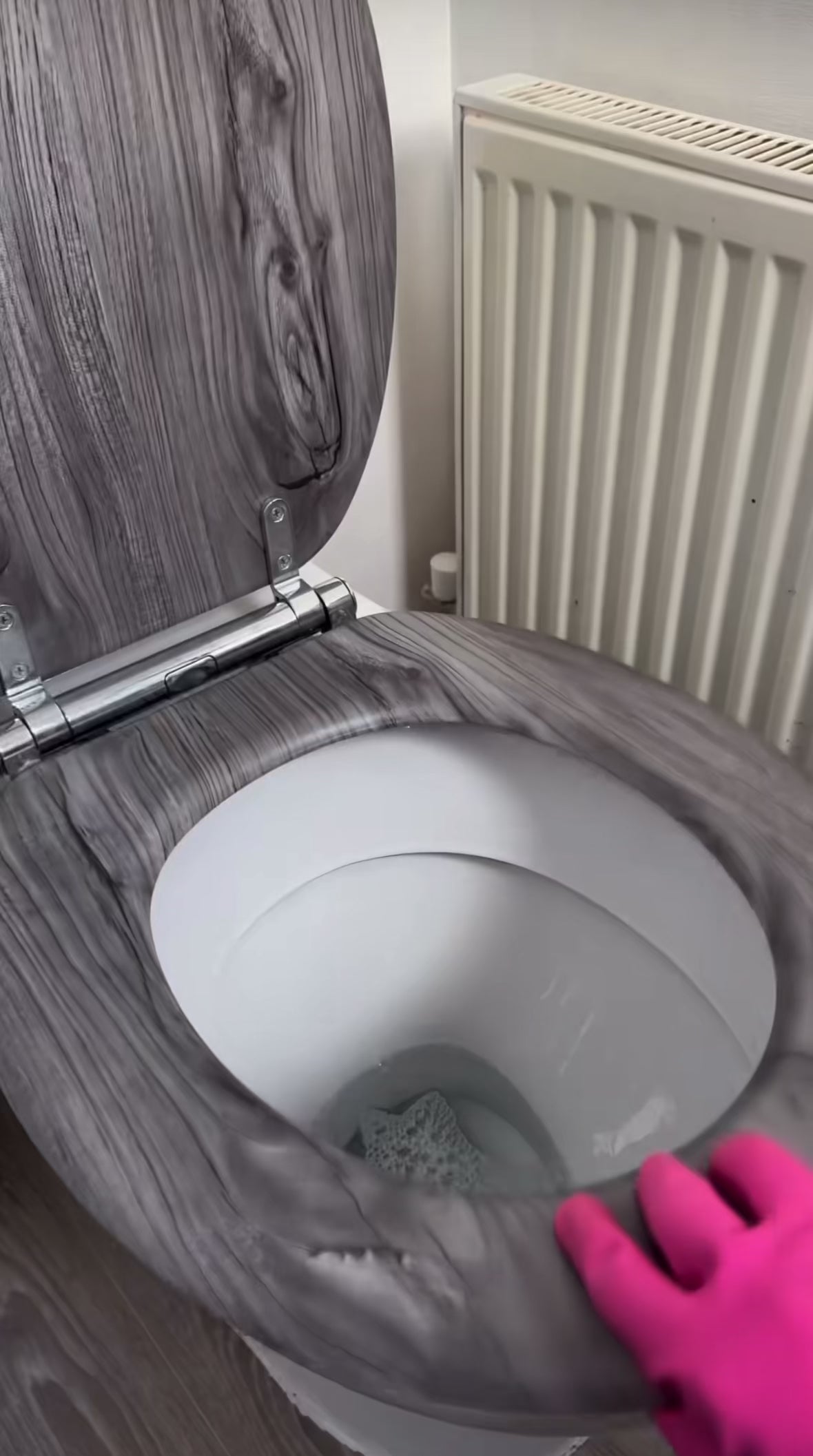 Disposable Toilet Brush